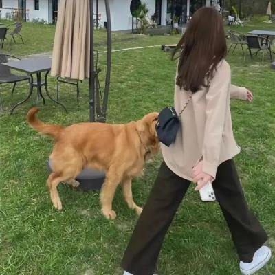 摇滚电台